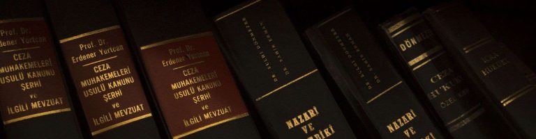 ODPOWIEDZIALNOŚĆ CZŁONKA ZARZĄDU W SPÓŁCE AKCYJNEJ