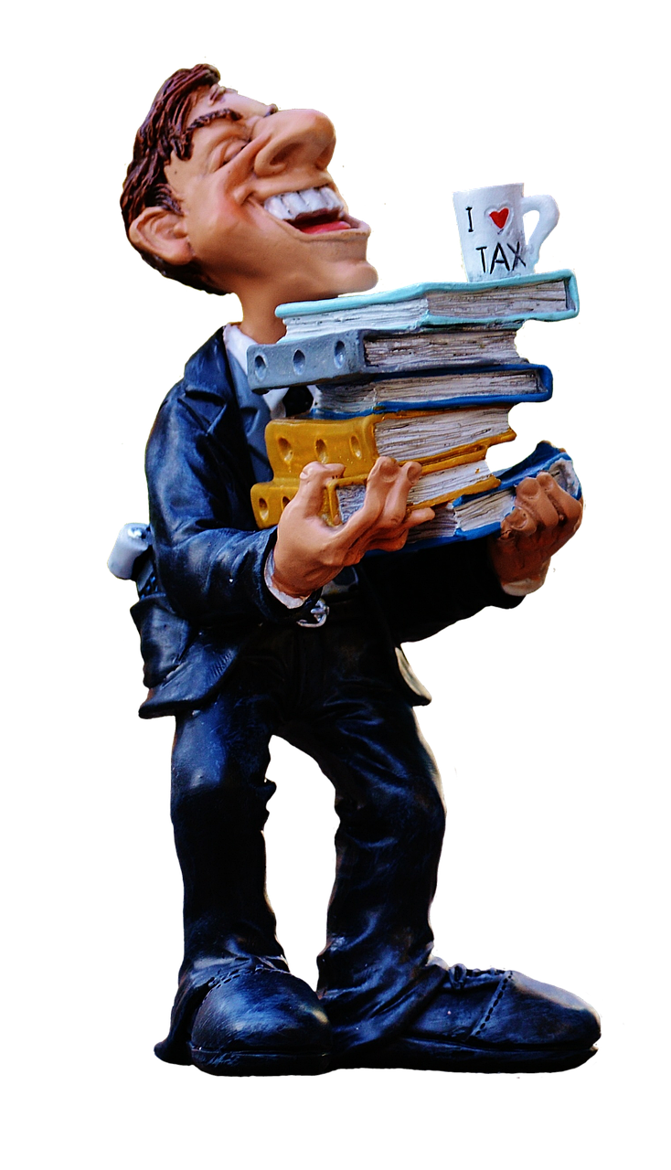 tax consultant, finance, tax office, country, income tax return, files, tax return, money, taxes, fun, funny, tax return, money, taxes, taxes, taxes, taxes, taxes