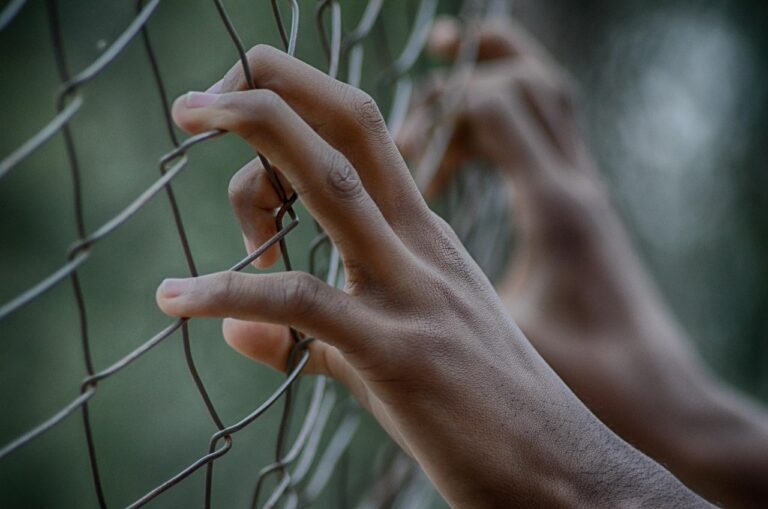 fence, freedom, prison, hands, fingers, closed, prison, prison, prison, prison, prison